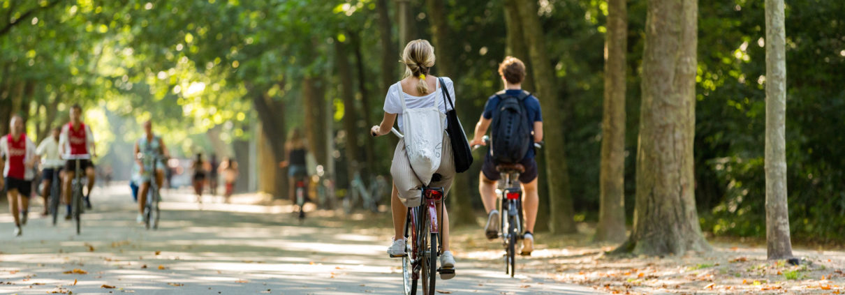 A girl and boy biking in the park.