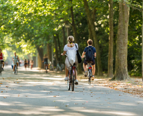 A girl and boy biking in the park.